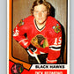 1974-75 O-Pee-Chee #186 Dick Redmond  Chicago Blackhawks  V4661