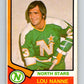 1974-75 O-Pee-Chee #325 Lou Nanne  Minnesota North Stars  V4994
