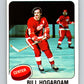 1975-76 O-Pee-Chee #67 Bill Hogaboam  Detroit Red Wings  V5466
