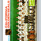 1975-76 O-Pee-Chee #82 California Golden Seals CL  Seals  V5523
