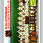 1975-76 O-Pee-Chee #82 California Golden Seals CL  Seals  V5527