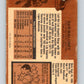 1975-76 O-Pee-Chee #177 Dan Maloney  Detroit Red Wings  V5957