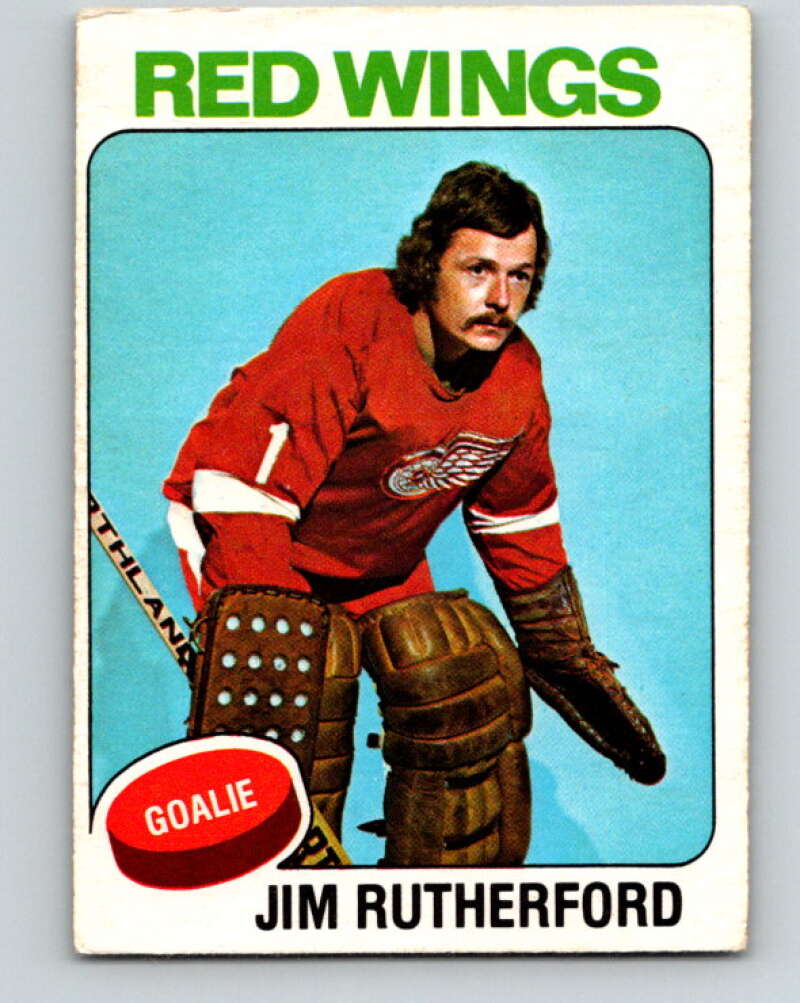 1975-76 O-Pee-Chee #218 Dick Redmond  Chicago Blackhawks  V6128