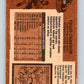 1975-76 O-Pee-Chee #239 Craig Cameron  Minnesota North Stars  V6224