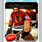 1975-76 O-Pee-Chee #240 Tony Esposito  Chicago Blackhawks  V6229