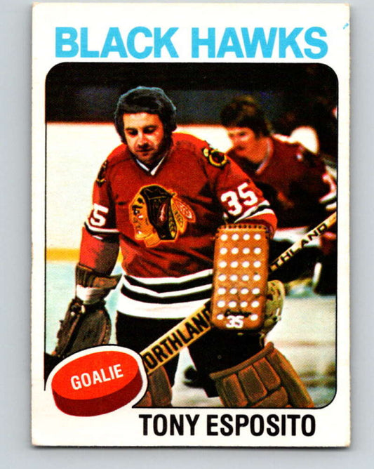 1975-76 O-Pee-Chee #240 Tony Esposito  Chicago Blackhawks  V6229