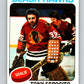 1975-76 O-Pee-Chee #240 Tony Esposito  Chicago Blackhawks  V6230