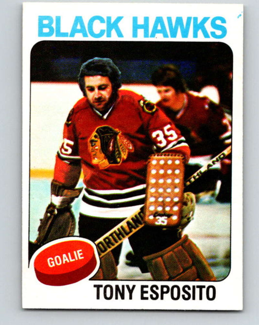 1975-76 O-Pee-Chee #240 Tony Esposito  Chicago Blackhawks  V6230