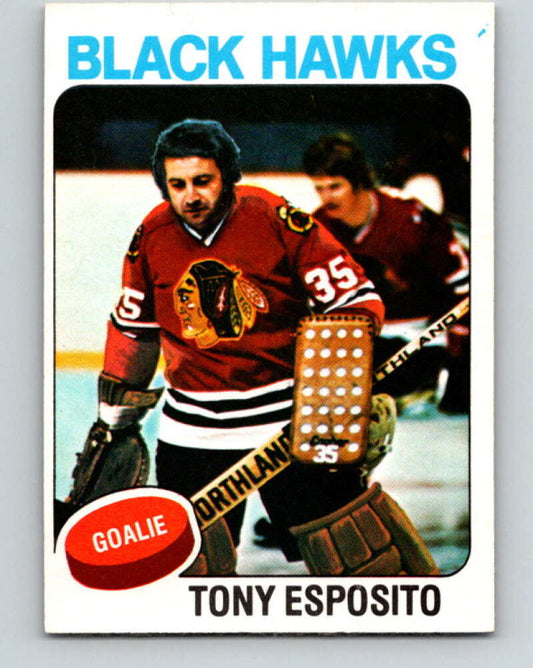 1975-76 O-Pee-Chee #240 Tony Esposito  Chicago Blackhawks  V6231