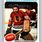 1975-76 O-Pee-Chee #240 Tony Esposito  Chicago Blackhawks  V6232