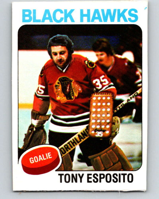 1975-76 O-Pee-Chee #240 Tony Esposito  Chicago Blackhawks  V6234