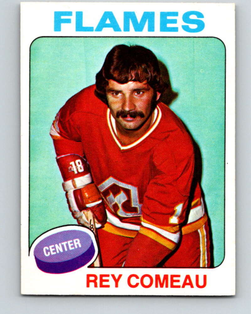 1975-76 O-Pee-Chee #248 Rey Comeau  Atlanta Flames  V6274