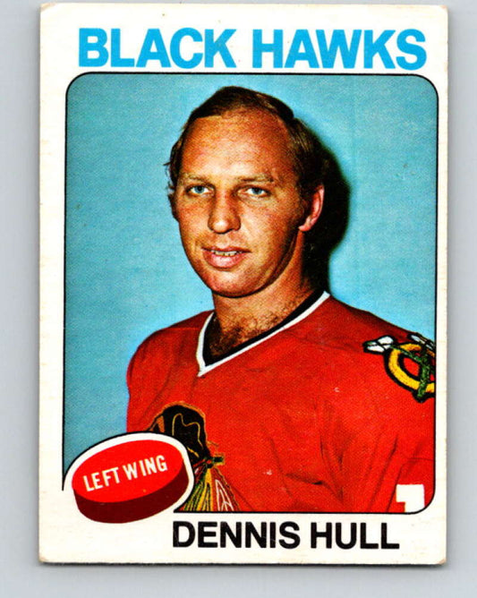 1975-76 O-Pee-Chee #254 Dennis Hull  Chicago Blackhawks  V6293