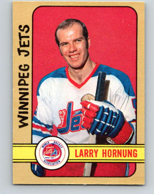 1972-73 WHA O-Pee-Chee  #317 Larry Hornung  RC Rookie Winnipeg Jets  V6972
