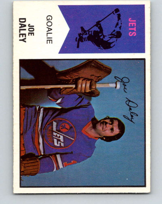 1974-75 WHA O-Pee-Chee  #38 Joe Daley  Winnipeg Jets  V7098