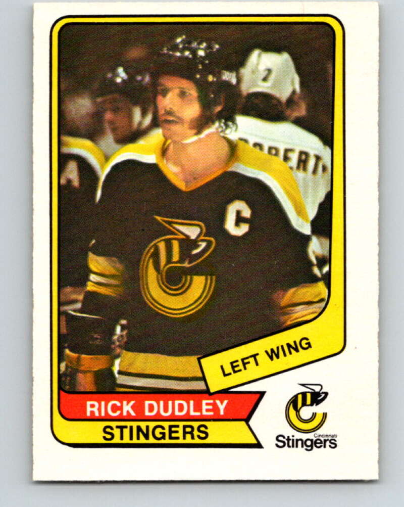 1976-77 WHA O-Pee-Chee #17 Rick Dudley  Cincinnati Stingers  V7655