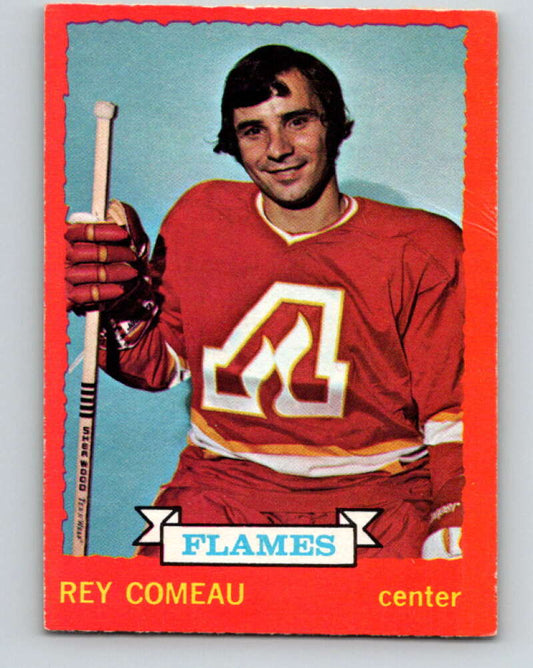 1973-74 O-Pee-Chee #29 Rey Comeau  Atlanta Flames  V8036