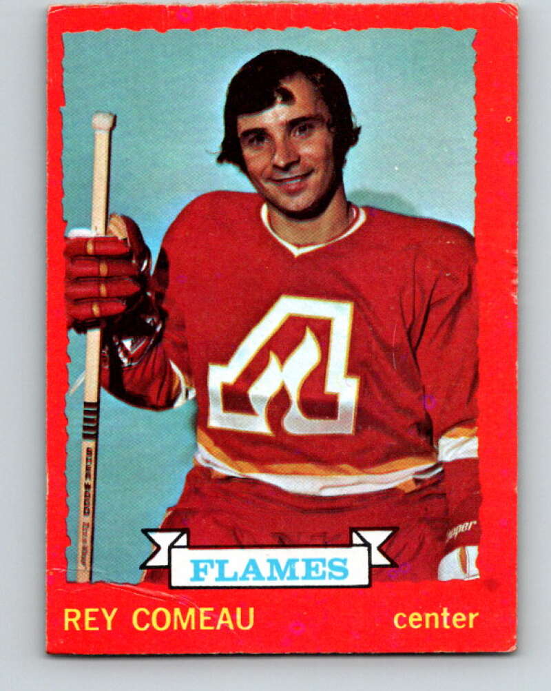 1973-74 O-Pee-Chee #29 Rey Comeau  Atlanta Flames  V8038