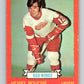 1973-74 O-Pee-Chee #33 Henry Boucha  RC Rookie Detroit Red Wings  V8059