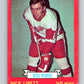 1973-74 O-Pee-Chee #49 Nick Libett  Detroit Red Wings  V8122