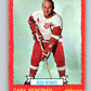 1973-74 O-Pee-Chee #65 Gary Bergman  Detroit Red Wings  V8190