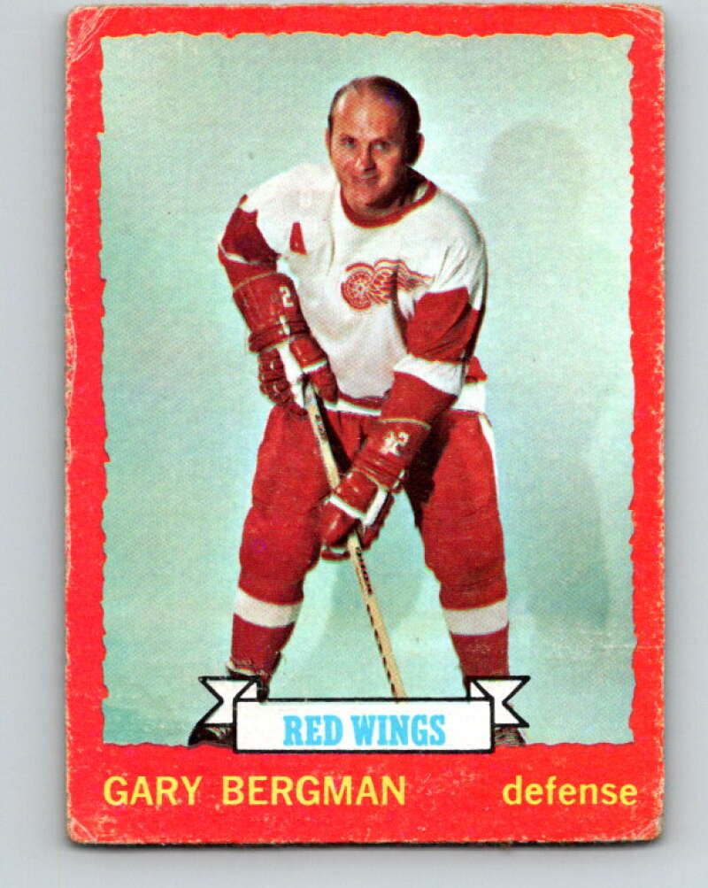 1973-74 O-Pee-Chee #65 Gary Bergman  Detroit Red Wings  V8190