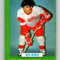 1973-74 O-Pee-Chee #236 Ron Stackhouse  Detroit Red Wings  V8604
