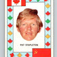 1972-73 O-Pee-Chee Team Canada #27 Pat Stapleton  V8791