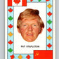 1972-73 O-Pee-Chee Team Canada #27 Pat Stapleton  V8792