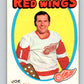 1971-72 O-Pee-Chee #137 Joe Daley  Detroit Red Wings  V9328