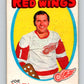 1971-72 O-Pee-Chee #137 Joe Daley  Detroit Red Wings  V9334