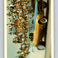 1971 Fleer AHRA Drag Champs #8 Don & Roy Gay's  V10314