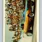1971 Fleer AHRA Drag Champs #8 Don & Roy Gay's  V10315