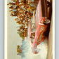 1971 Fleer AHRA Drag Champs #11 Mr.Norms Super Charger  V10318