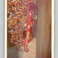 1971 Fleer AHRA Drag Champs #50 Jungle Jim Libermans  V10334