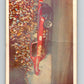 1971 Fleer AHRA Drag Champs #50 Jungle Jim Libermans  V10335