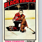 1976-77 O-Pee-Chee #100 Tony Esposito  Chicago Blackhawks  V12556