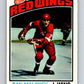 1976-77 O-Pee-Chee #101 Dan Maloney  Detroit Red Wings  V12559