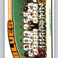 1976-77 O-Pee-Chee #146 St. Louis Blues CL  St. Louis Blues  V12095