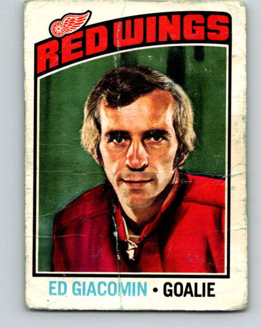 1976-77 O-Pee-Chee #160 Ed Giacomin  Detroit Red Wings  V12148