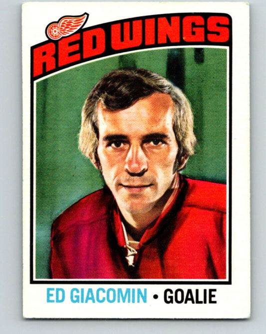 1976-77 O-Pee-Chee #160 Ed Giacomin  Detroit Red Wings  V12149