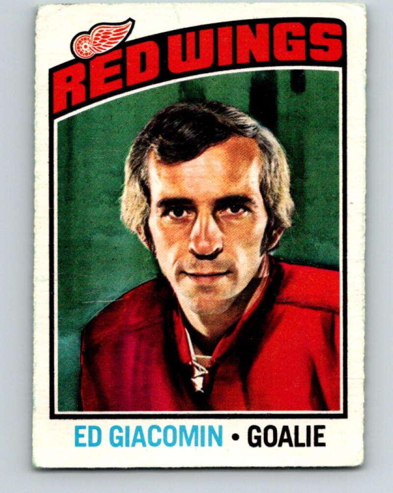 1976-77 O-Pee-Chee #160 Ed Giacomin  Detroit Red Wings  V12150