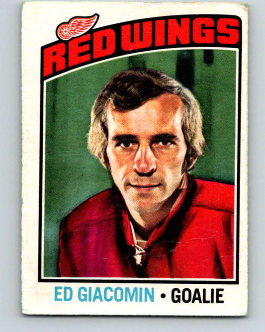 1976-77 O-Pee-Chee #160 Ed Giacomin  Detroit Red Wings  V12152