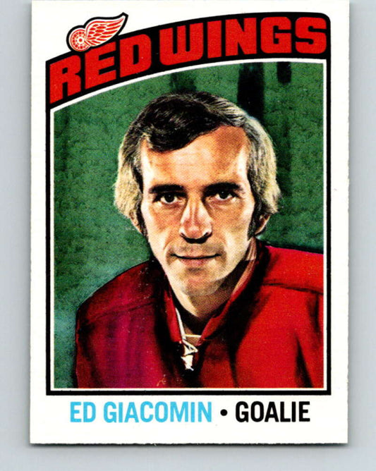 1976-77 O-Pee-Chee #160 Ed Giacomin  Detroit Red Wings  V12153