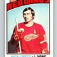 1976-77 O-Pee-Chee #171 Nick Libett  Detroit Red Wings  V12190