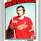 1976-77 O-Pee-Chee #171 Nick Libett  Detroit Red Wings  V12192