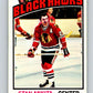 1976-77 O-Pee-Chee #225 Stan Mikita  Chicago Blackhawks  V12345