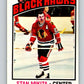 1976-77 O-Pee-Chee #225 Stan Mikita  Chicago Blackhawks  V12347