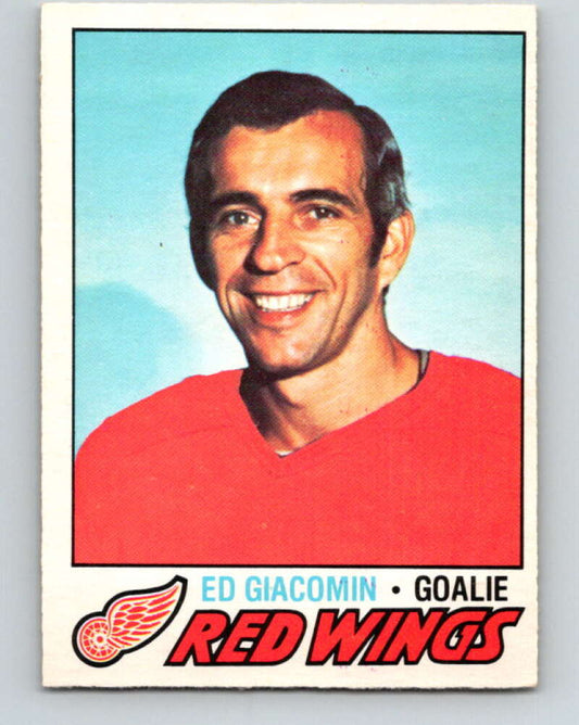 1977-78 O-Pee-Chee #70 Ed Giacomin  Detroit Red Wings  V13401