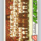 1977-78 O-Pee-Chee #71 Atlanta Flames Team  Atlanta Flames  V13408